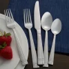 Dawson Frost 20 Piece Flatware Set, Service for 4