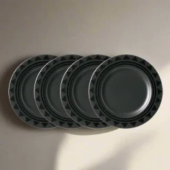 Midnight Sun® Set of 4 Dinner Plates