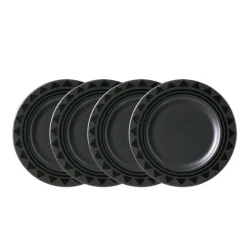 Midnight Sun® Set of 4 Dinner Plates