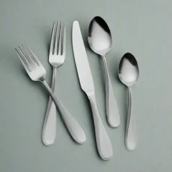 Payton Frost 20 Piece Flatware Set, Service for 4