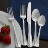 Simplicity 53 Piece Flatware Set, Service for 8